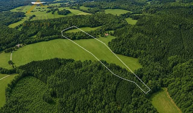 Prodej louky 98 591 m², Benešov nad Černou – Klení, okres Český Krumlov