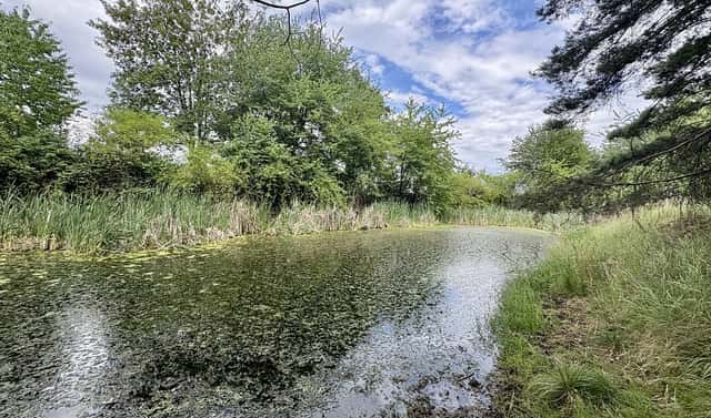 Prodej louky 17 967 m², Rybníky – Libice, okres Příbram