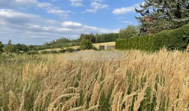 Prodej stavebního pozemku 1 185 m², Blovice, okres Plzeň-jih