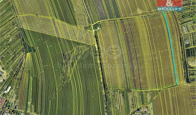 Prodej pole 2 367 m², Vracov, okres Hodonín