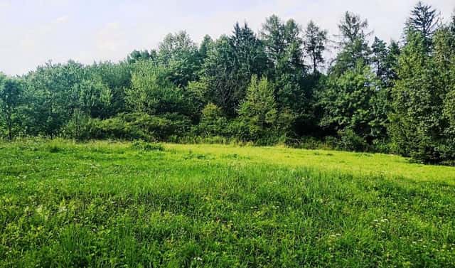 Prodej zahrady 3 200 m², Třinec – Dolní Líštná, okres Frýdek-Místek