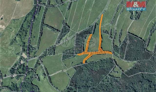 Prodej lesa 11 553 m², Žandov, okres Česká Lípa