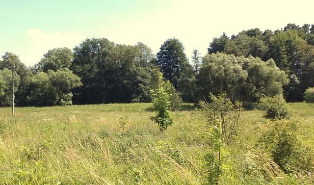 Prodej pole 28 977 m², Meziměstí, okres Náchod