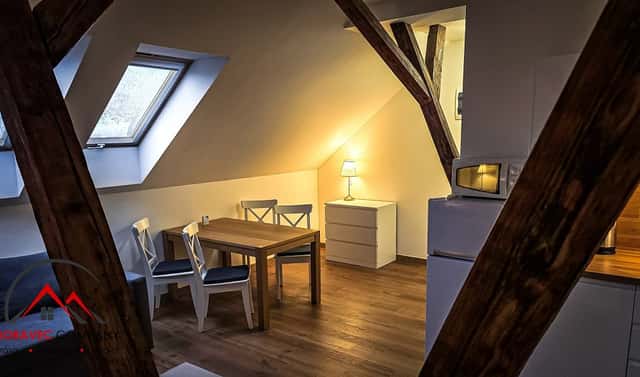 Pronájem bytu 1+kk 38 m², Cihelní, Ostrava – Moravská Ostrava, okres Ostrava-město