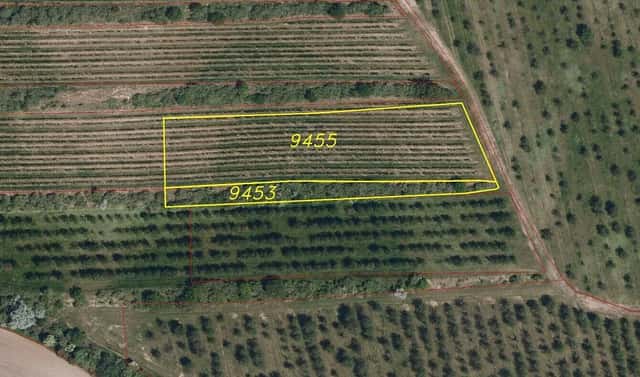Prodej pole 4 334 m², Kobylí, okres Břeclav