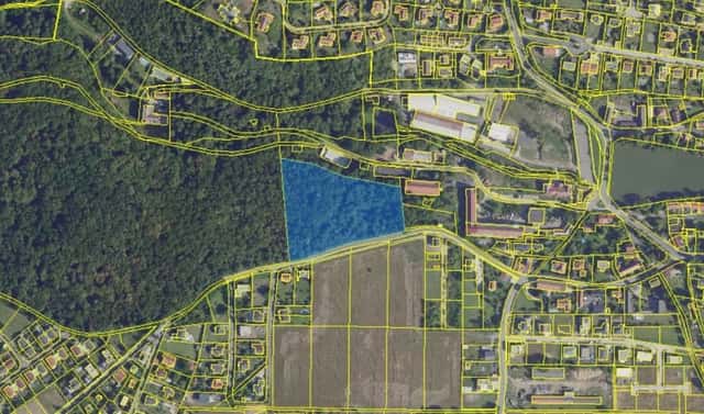 Prodej lesa 13 687 m², K Holosmetkům, Zdiby – Přemyšlení, okres Praha-východ