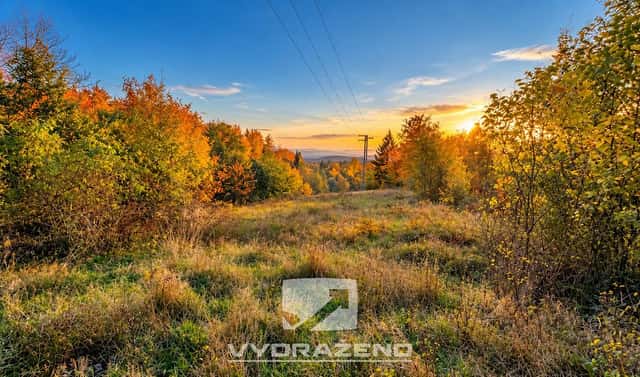 Prodej louky 1 465 m², Liberec