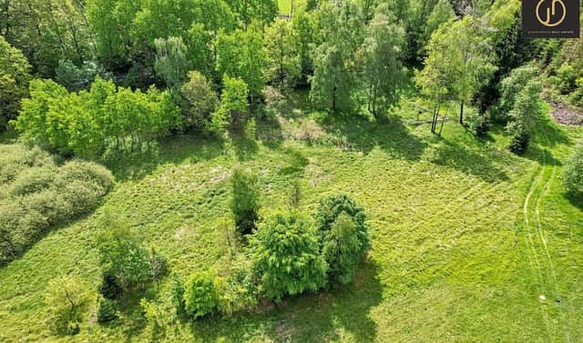 Prodej louky 9 592 m², Velký Šenov, okres Děčín