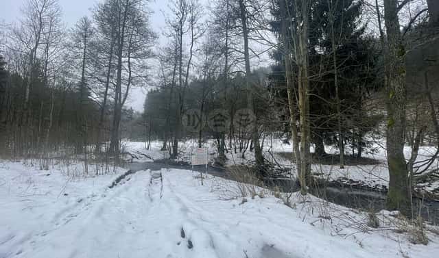 Prodej lesa 43 832 m², Příkrý, okres Semily