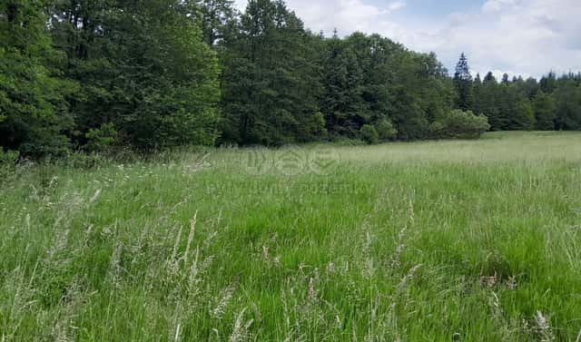 Prodej louky 19 732 m², Oselce – Kotouň, okres Plzeň-jih