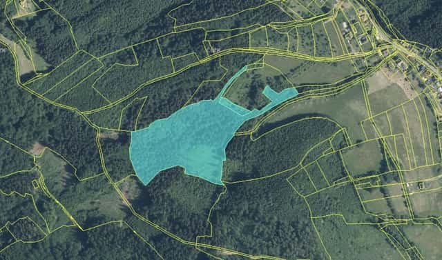 Prodej lesa 38 165 m², Rokytnice, Vsetín – Rokytnice