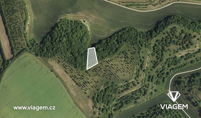 Prodej pole 791 m², Kobylí, okres Břeclav
