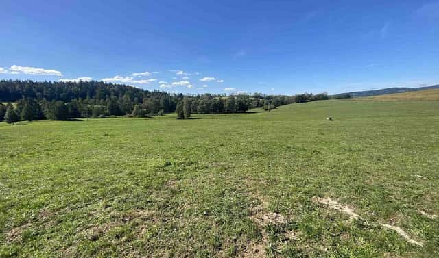 Prodej pole 9 226 m², Bělá nad Radbuzou – Čečín, okres Domažlice