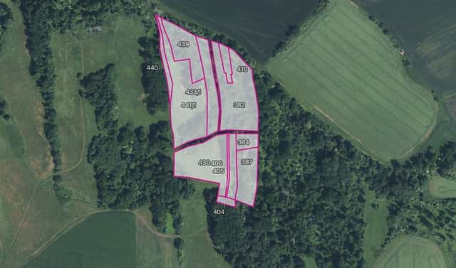 Prodej lesa 18 766 m², Liběšice – Trnobrany, okres Litoměřice