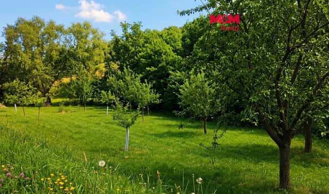 Prodej louky 1 126 m², Kokory, okres Přerov