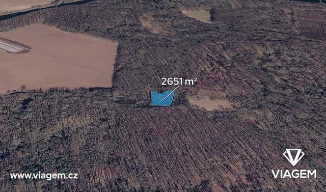 Prodej lesa 1 325 m², Přerov nad Labem, okres Nymburk
