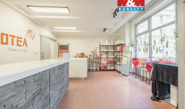 Pronájem obchodních prostor 48 m², Staropramenná, Praha 5 – Smíchov