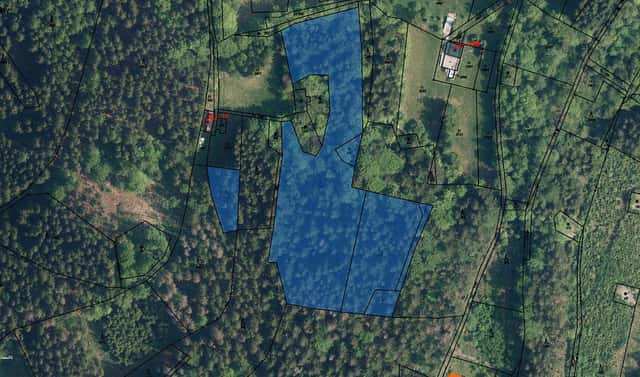 Prodej lesa 1 653 m², Jablonec nad Jizerou, okres Semily