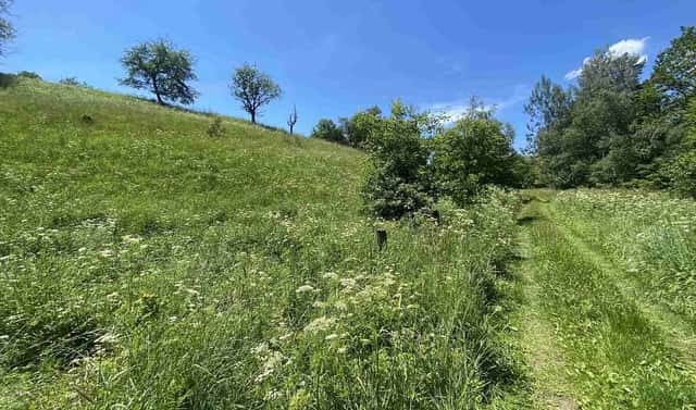 Prodej pole 5 634 m², Hartmanice, okres Klatovy