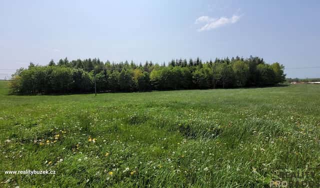 Prodej louky 2 247 m², Moravský Beroun, okres Olomouc