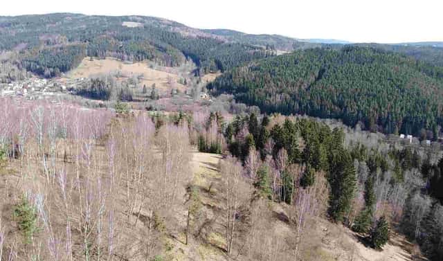 Prodej pole 3 869 m², Kraslice, okres Sokolov