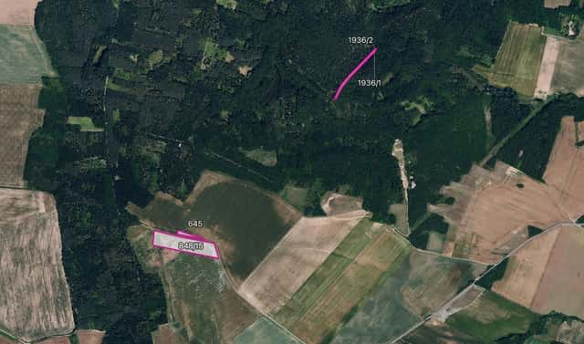 Prodej pole 11 072 m², Džbánice, okres Znojmo