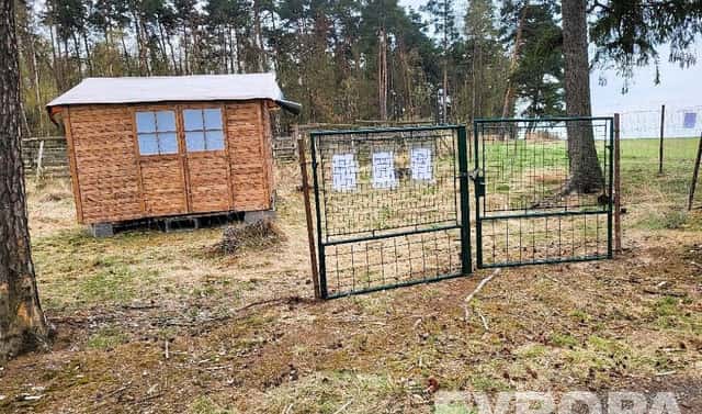Prodej lesa 2 152 m², Břežany, okres Rakovník