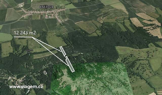 Prodej lesa 3 060 m², Kněždub, okres Hodonín