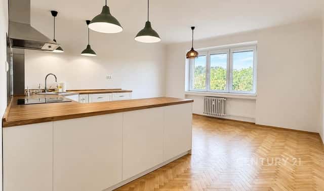 Pronájem bytu 3+kk 80 m², Na Mlejnku, Praha 4 – Braník