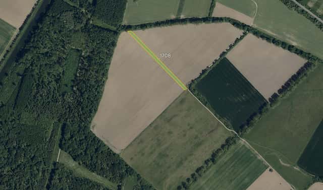 Prodej pole 5 741 m², Veselí nad Moravou – Zarazice, okres Hodonín