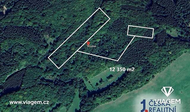 Prodej lesa 3 087 m², Lužná, okres Vsetín