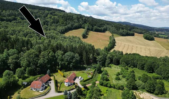Prodej lesa 4 606 m², Šimonovice, okres Liberec