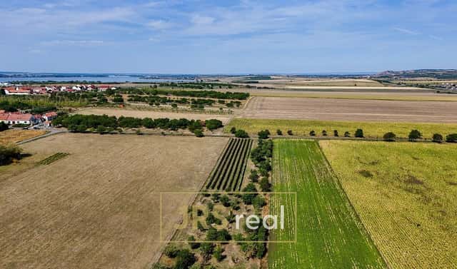 Prodej zahrady 5 111 m², Šakvice, okres Břeclav