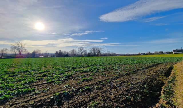 Prodej stavebního pozemku 4 203 m², Opava – Kylešovice