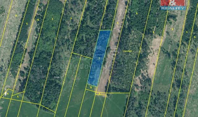 Prodej lesa 4 993 m², Jetětice, okres Písek