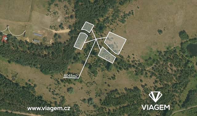 Prodej lesa 3 021 m², Terezín, okres Litoměřice