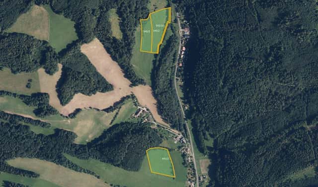 Prodej pole 31 498 m², Ruda nad Moravou – Hostice, okres Šumperk