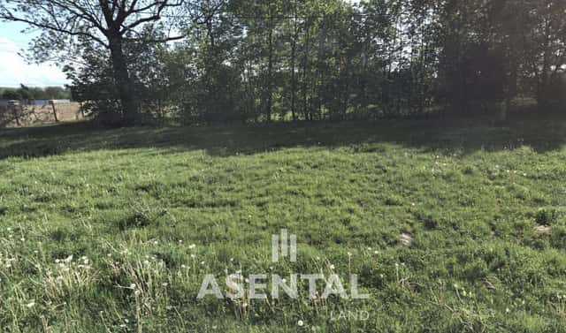Prodej stavebního pozemku 12 324 m², Závodní, Orlová – Poruba, okres Karviná