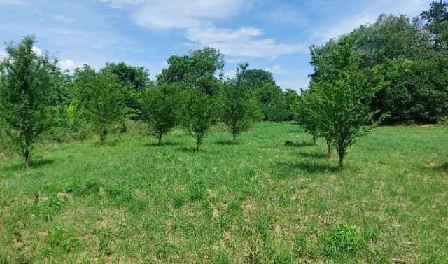Prodej zahrady 4 845 m², Rajhrad, okres Brno-venkov