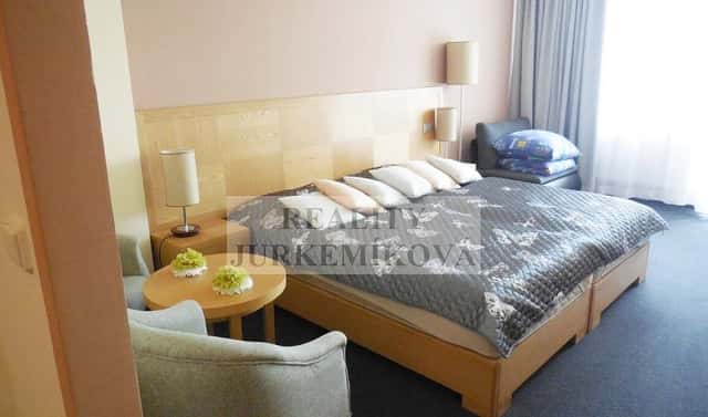 Pronájem bytu 1+kk 32 m², Frymburk, okres Český Krumlov