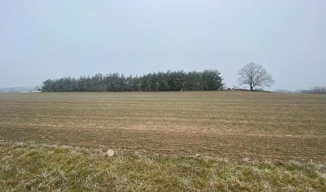 Prodej pole 13 059 m², Slatina, okres Klatovy