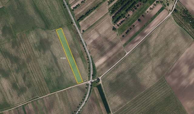 Prodej pole 17 433 m², Kobylí, okres Břeclav