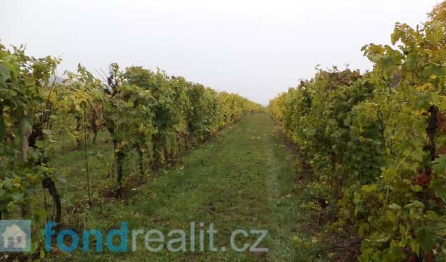 Prodej pozemku 4 541 m², Morkůvky, okres Břeclav