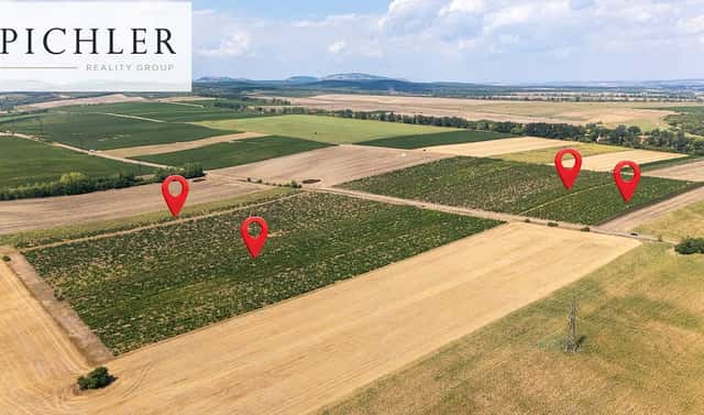 Prodej pozemku 24 332 m², Sedlec, okres Břeclav