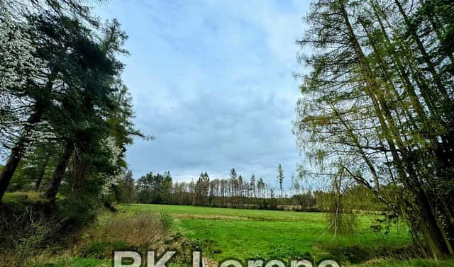 Prodej louky 5 265 m², Radostín nad Oslavou, okres Žďár nad Sázavou