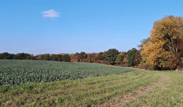 Prodej pole 10 226 m², Úvaly, okres Praha-východ