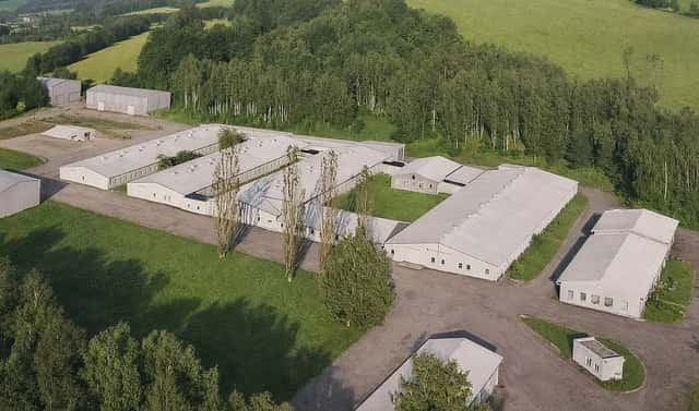 Prodej výrobních prostor 44 000 m², Benešov nad Černou, okres Český Krumlov
