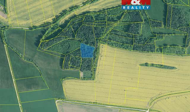Prodej lesa 4 545 m², Třešovice, okres Strakonice