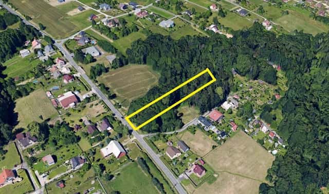 Prodej lesa 2 143 m², Petřvald, okres Karviná
