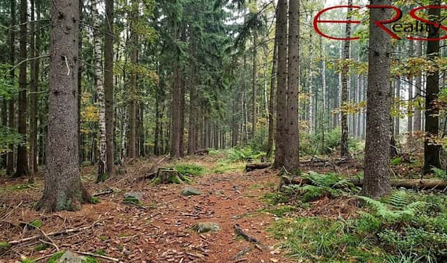 Prodej lesa 37 279 m², Merboltice, okres Děčín